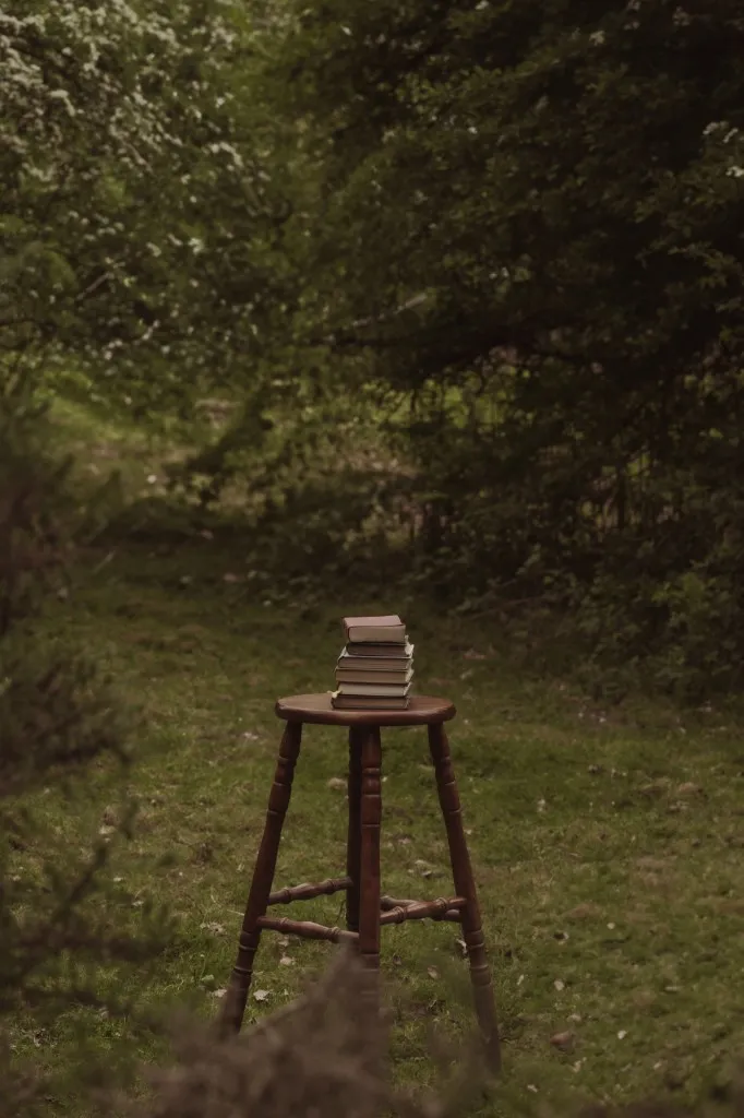 A wooden stool with a small stack of books sits in a quiet woodland clearing — a place to set things down